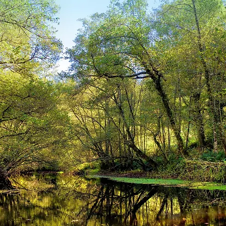 Szálloda Balneario Rio Pambre Palas de Rei